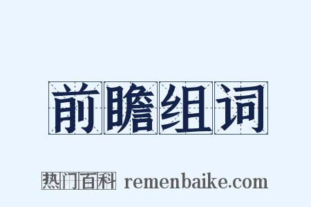 前瞻组词是什么意思的图片